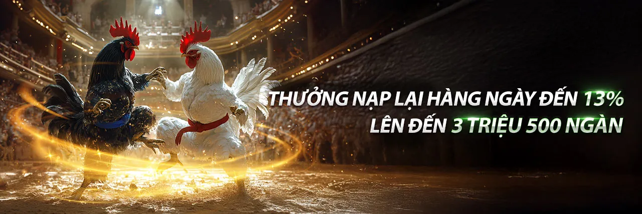 Đá Gà Trực Tuyến Hấp Dẫn tại nhà cái 888vi